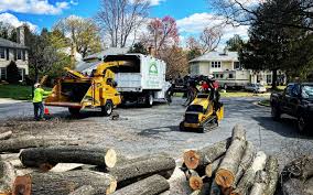 Best Storm Damage Tree Cleanup  in Maybrook, NY
