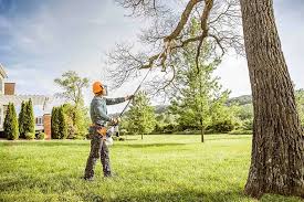 Best Lot and Land Clearing  in Maybrook, NY