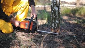 Best Soil Testing and Treatment  in Maybrook, NY