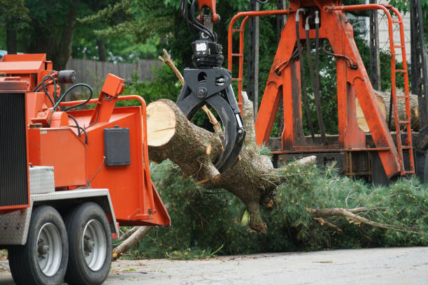 Best Lawn Mowing  in Maybrook, NY